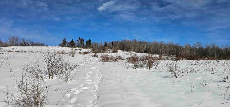 63 acres Farm Fields, Woodlands and Stream in Smyrna NY 911 NY-80