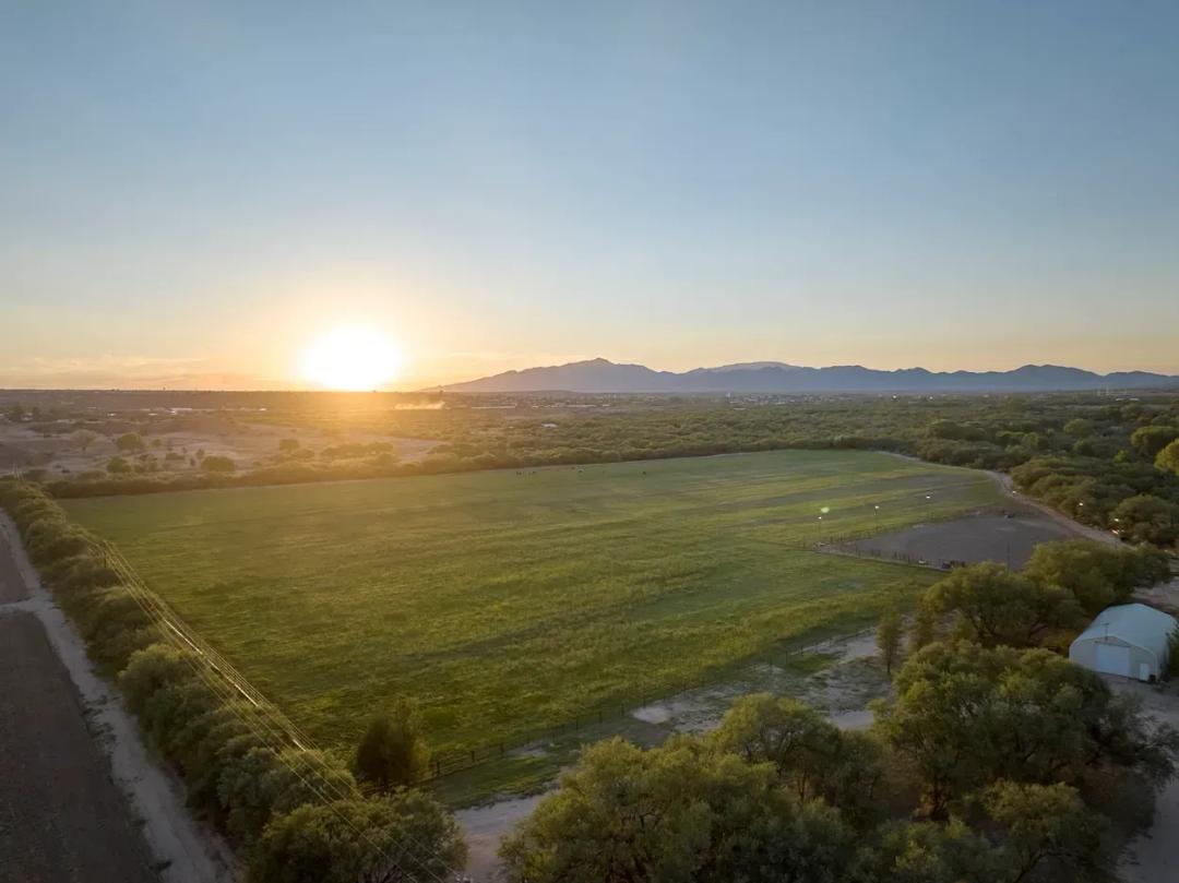 64 Acre Lifestyle Ranch and Farm in Benson AZ