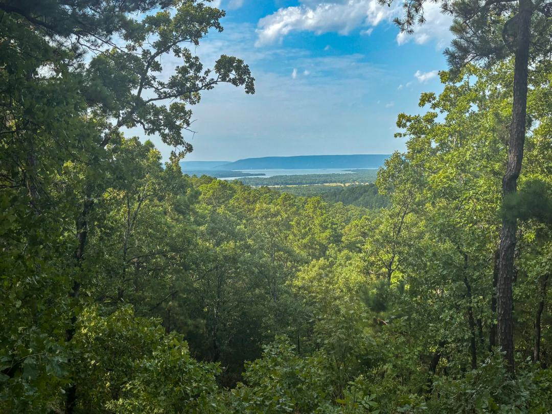 Timber Ridge Development Lot