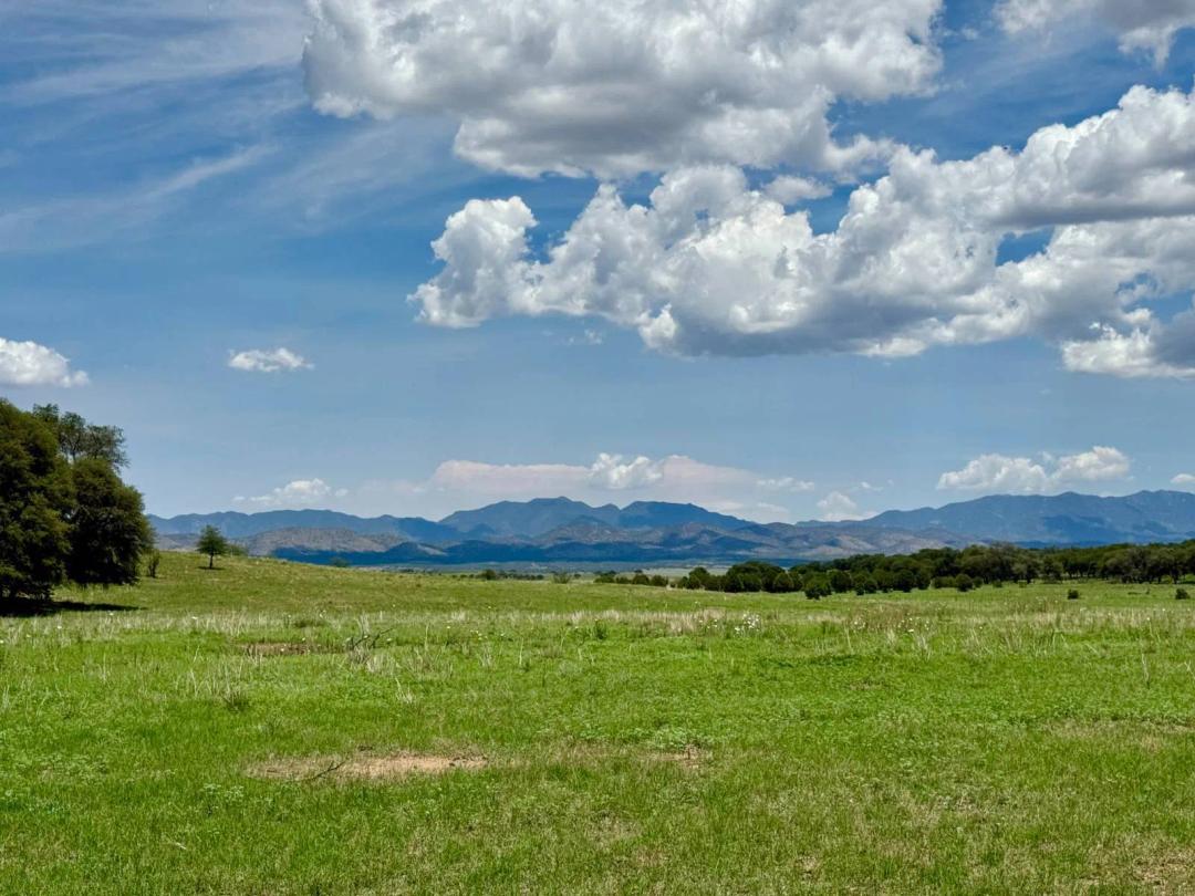 Historic 380AC Ranch, beautiful San Rafael Valley, Patagonia,AZ