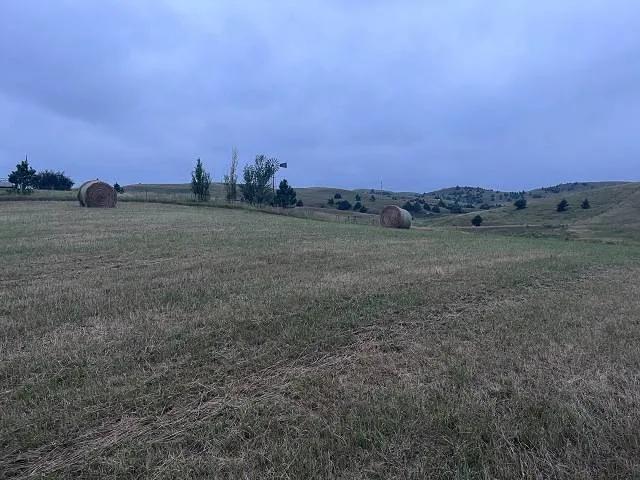 3+/- Acres, Ready for YOU.