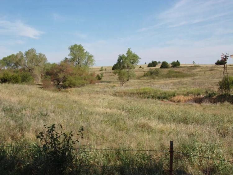 Auction 9/19 at 10am! 138 Acres Cultivation, Hunting, CRP, Possible Development