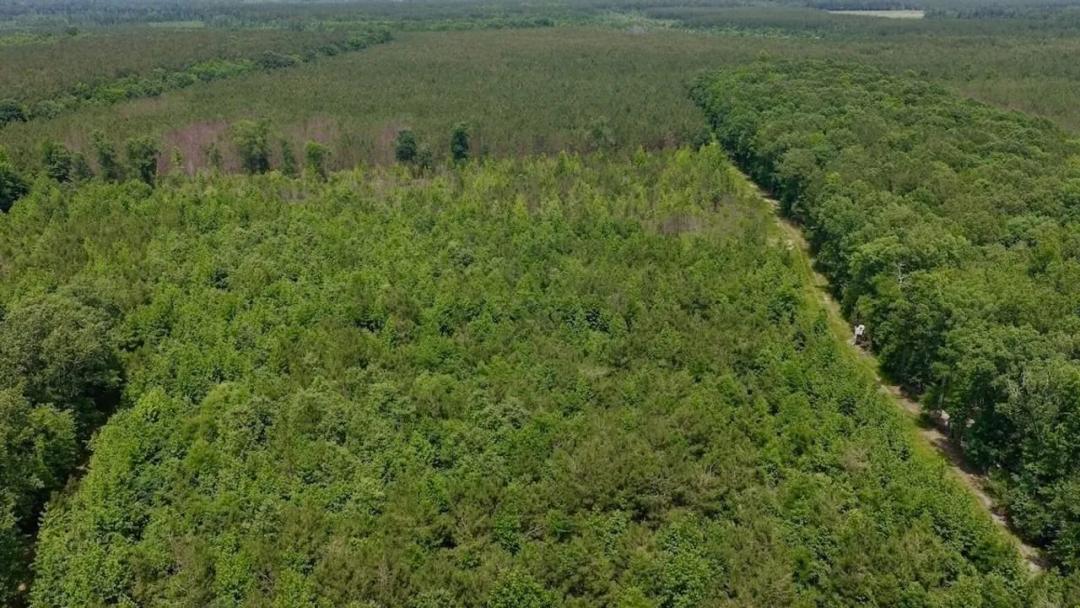 17.58 acres of Hunting and Recreational Land in Bertie County, NC!