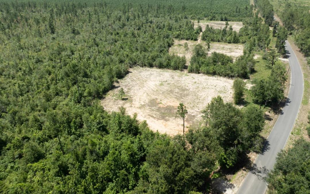 Evergreen Trace - Lot #3