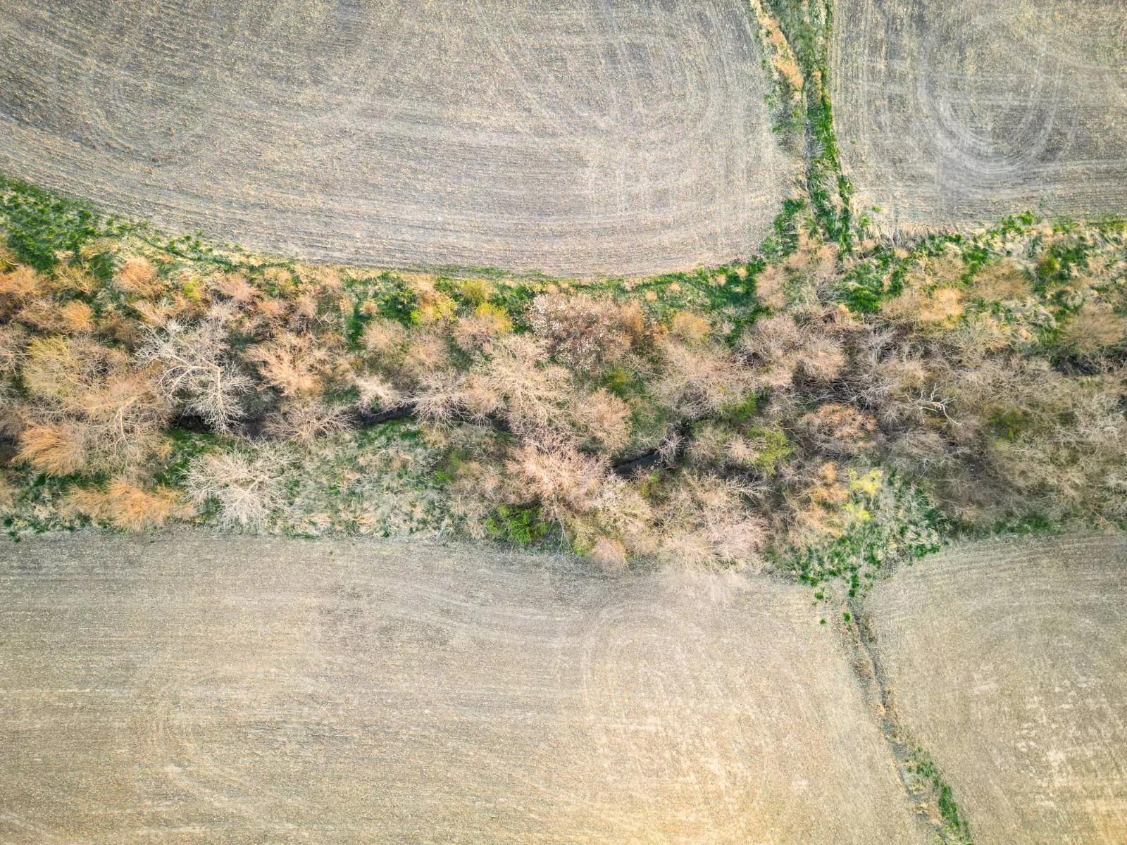 60294347-4