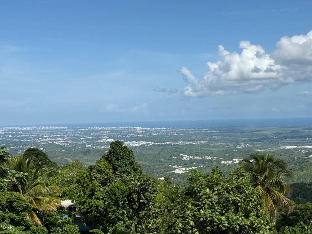 PRIME LOT FOR SALE / PALMA SOLA, CANÓVANAS, PR