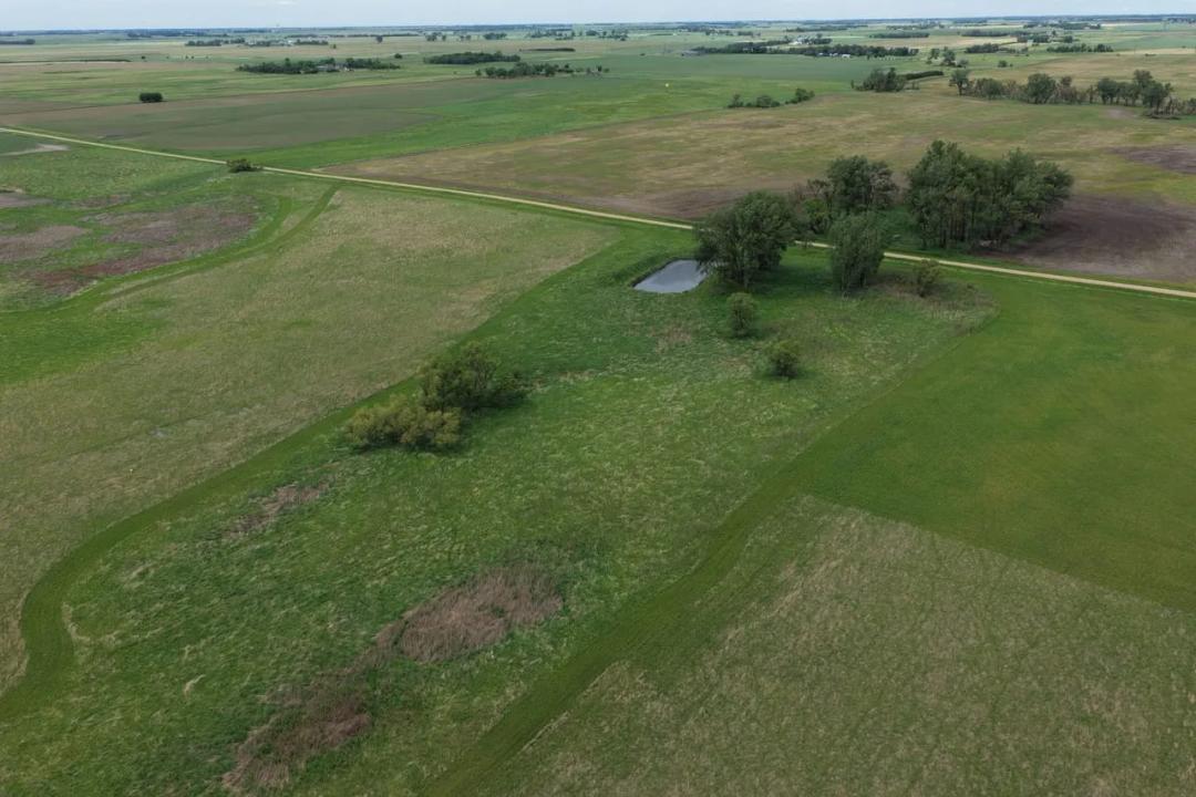 Miner County, SD 293 Acre