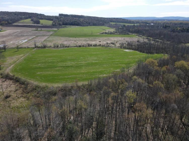Vacant Land with Fields, Tillable, Woods, Road Frontage