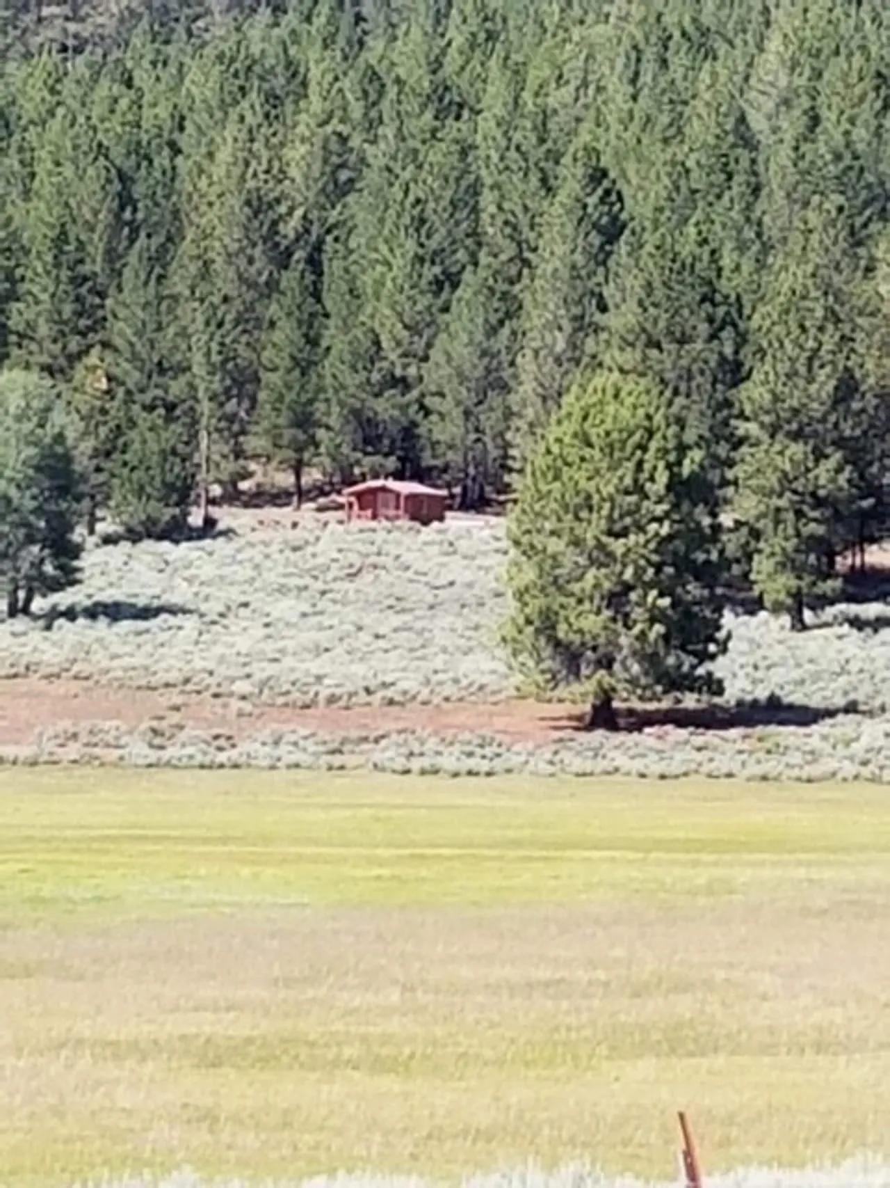 6036835-39