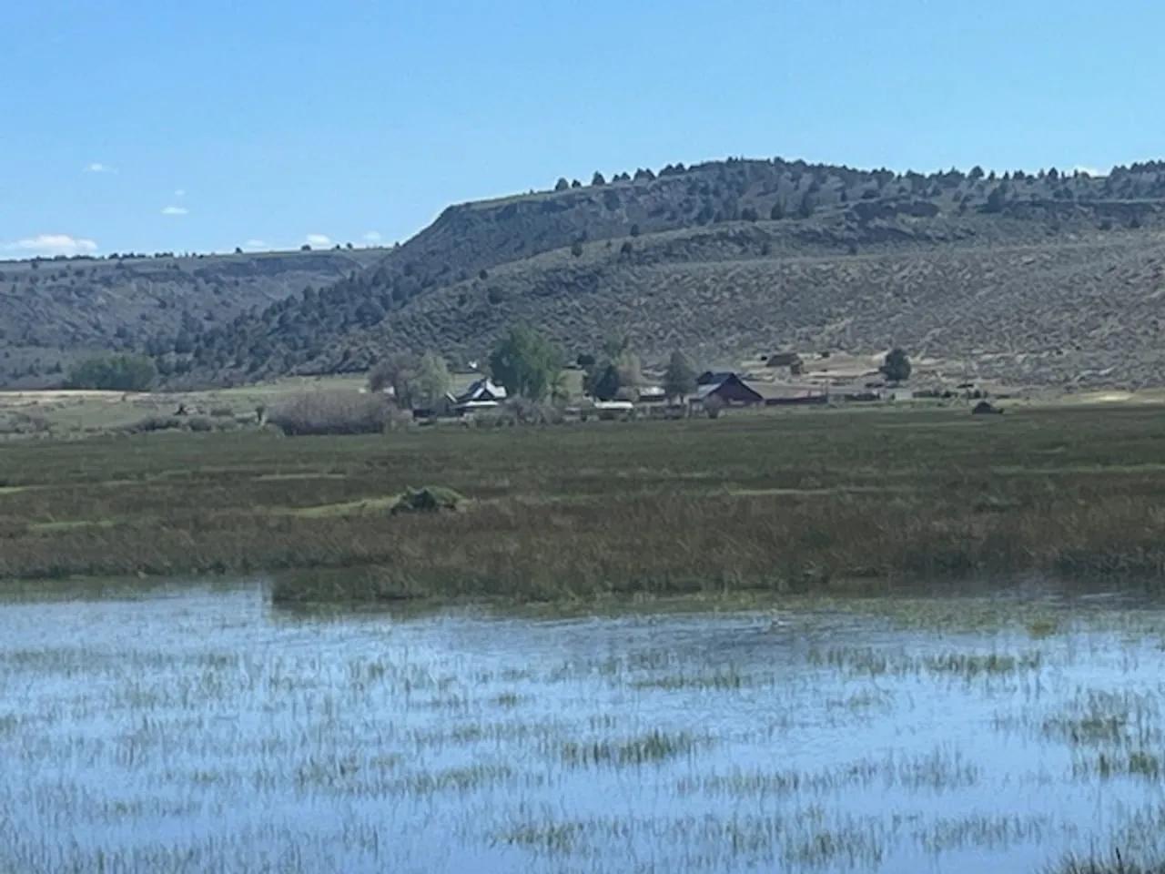6036835-65