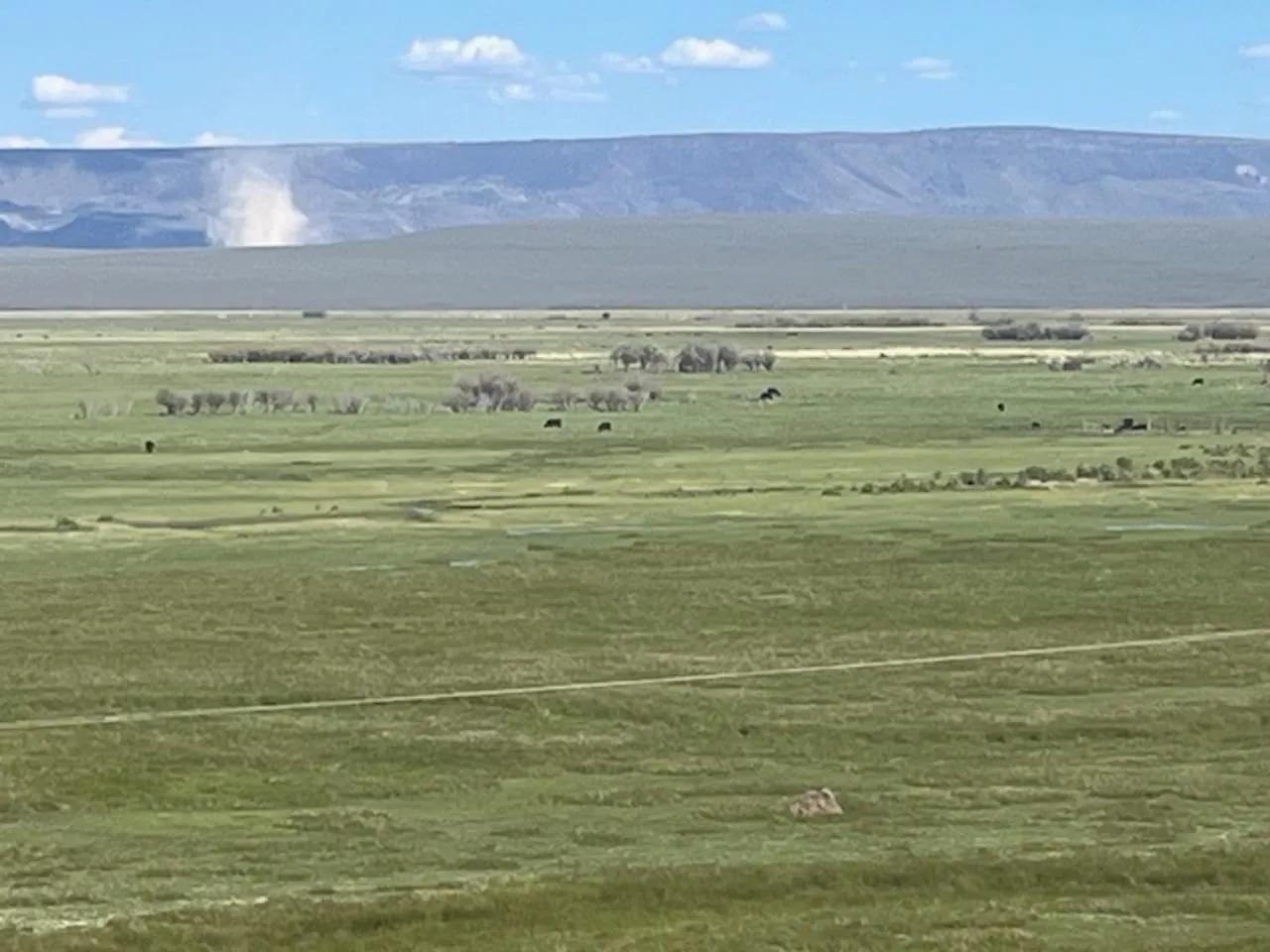 6036835-68