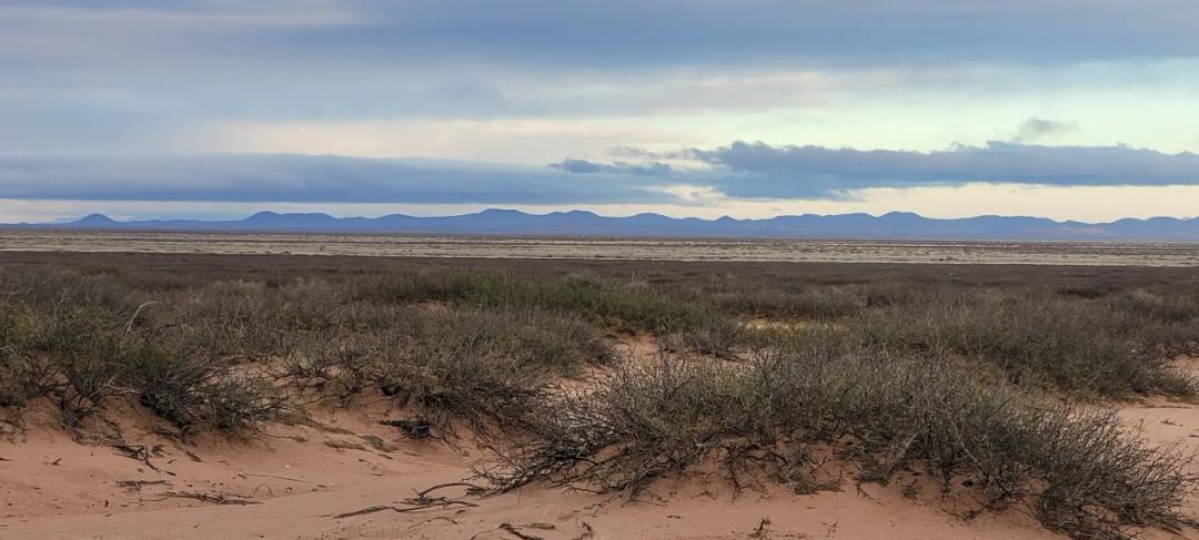 Classic Southern New Mexico Desert 10 acres