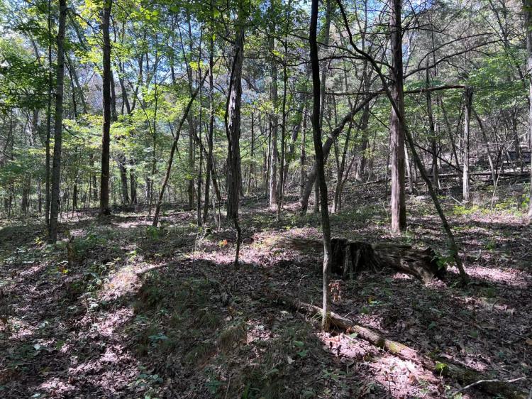Hunting Home or Cabin