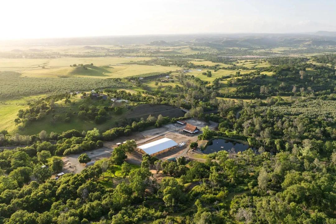 Silver Ridge Stables