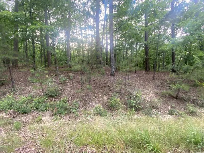  Beautiful Buildable La Viejo Place, Hot Springs Village Arkansas Lot 