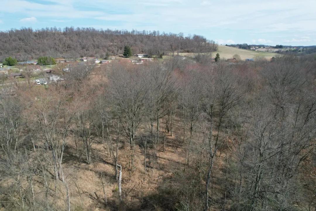 Monessen Street, Fayette County - 30+/- Acres