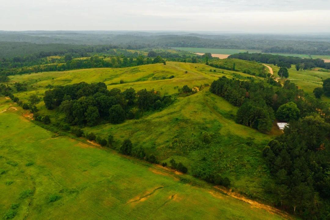 722 Acre Farm in Calhoun County, MS 