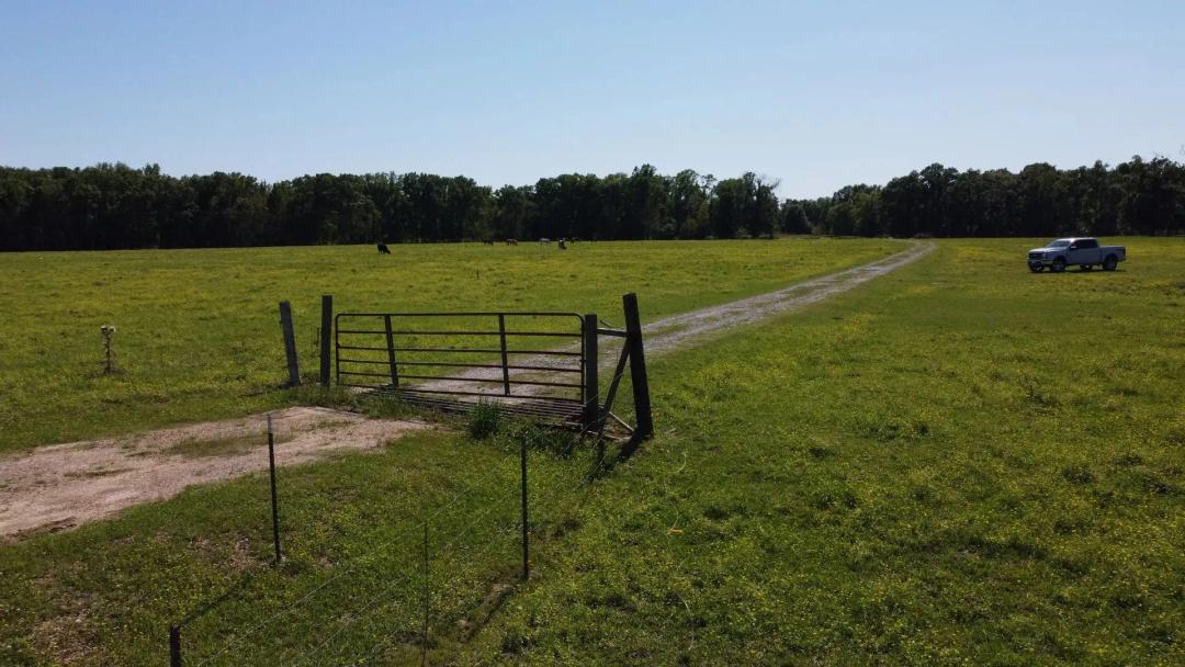 101.3 +/- acres Cornering Callahan Rd and Cypress Creek Rd, Oakdale La 71463