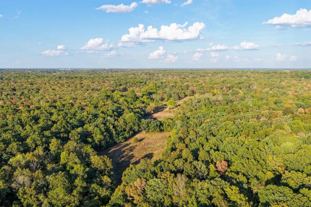 Fivemile Ridge Hunting Farm
