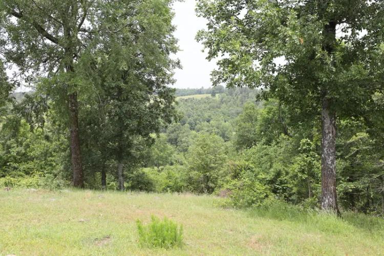 Smithville Tract 3-- 5.16 Acres, More Or Less