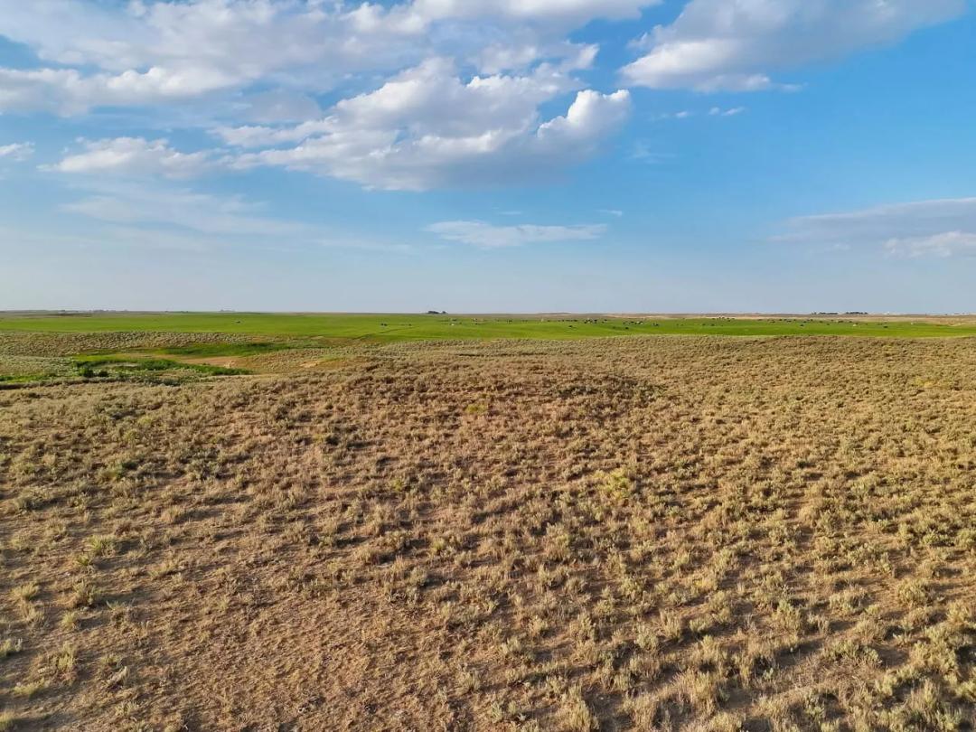 Stevens County Pasture with Income Producing Mineral Rights