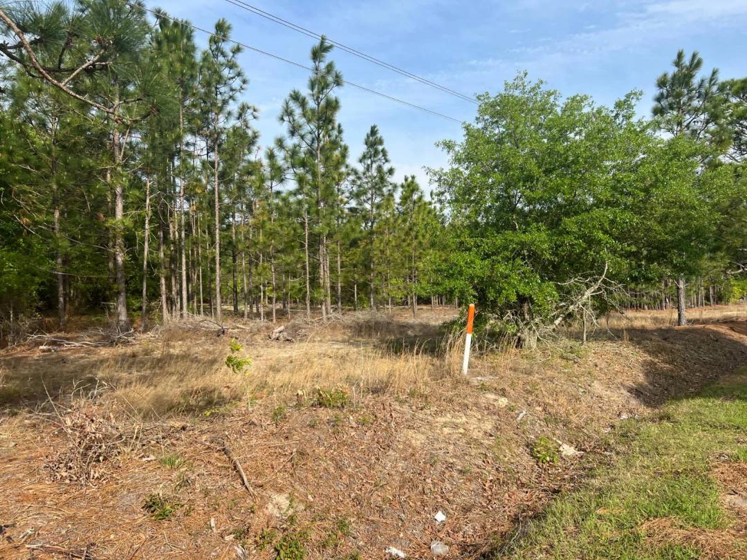 11-Acre Tract for Sale!