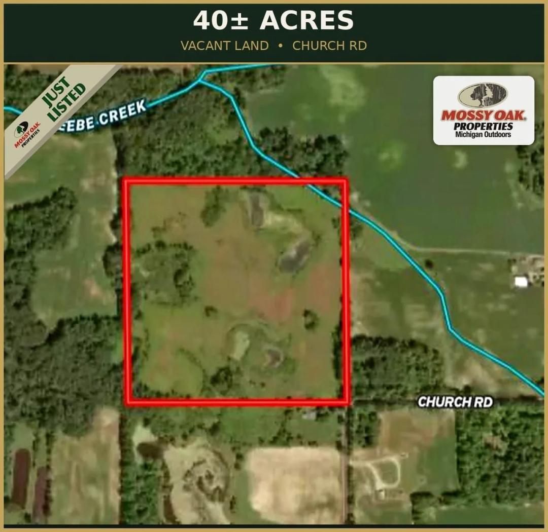40+/- Acres of Hunting Land Hillsdale County