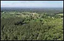 10 Acres (Lot 3) in Scott County in Forest, MS