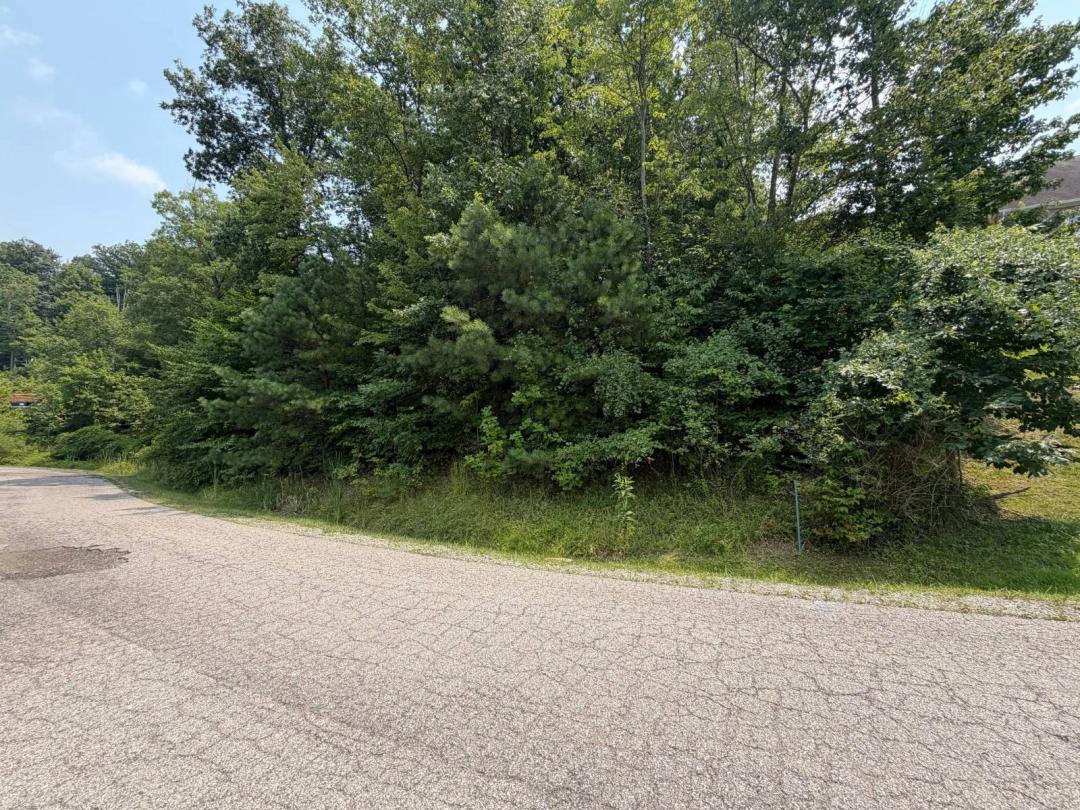 Level Building Lot in Desirable Quarry Creek