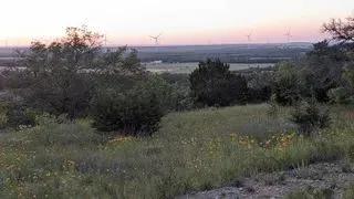 60698561-11