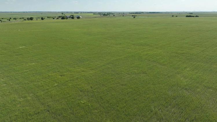 720± Acres Cropland, Grass, Ponds and More! Offered in 5 Tracts!
