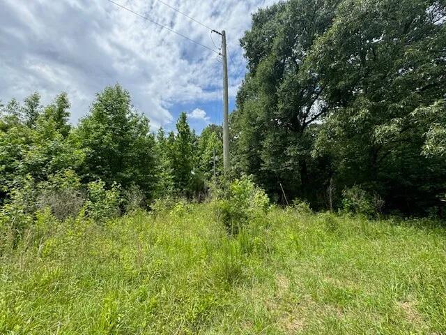 17.05 Acres at 000 Bear Rd