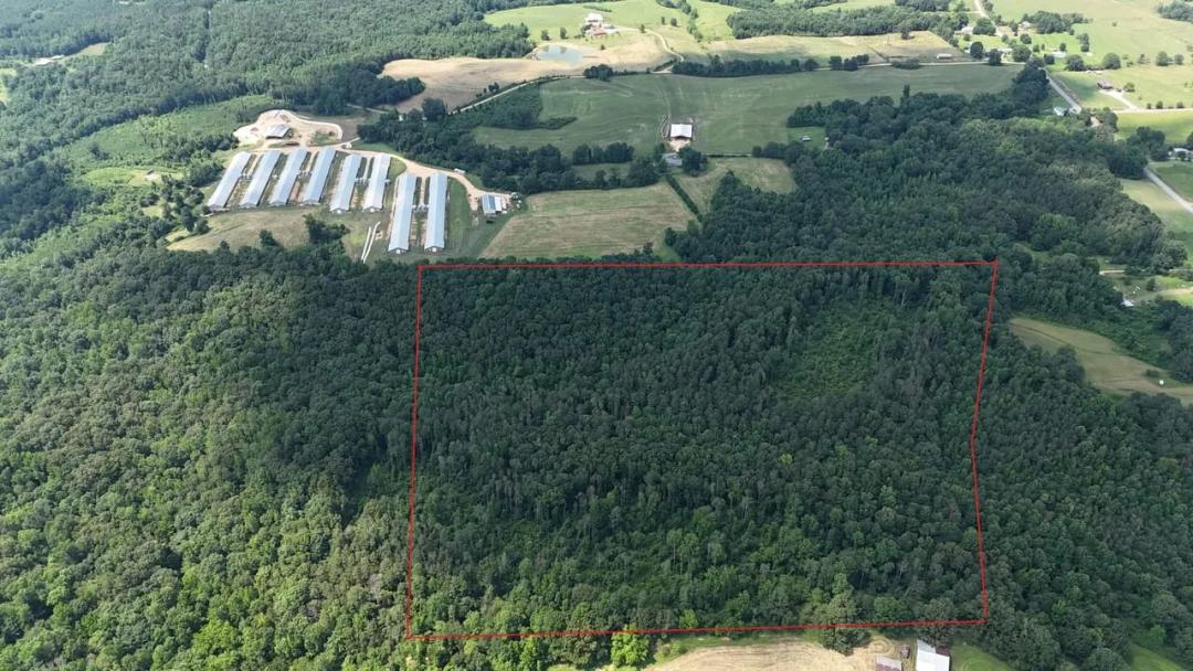 Marion County 49_9 43 Acre Hardwood Tract