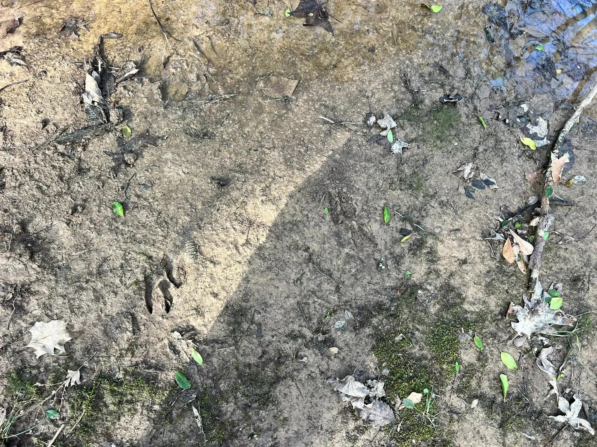60752827-25