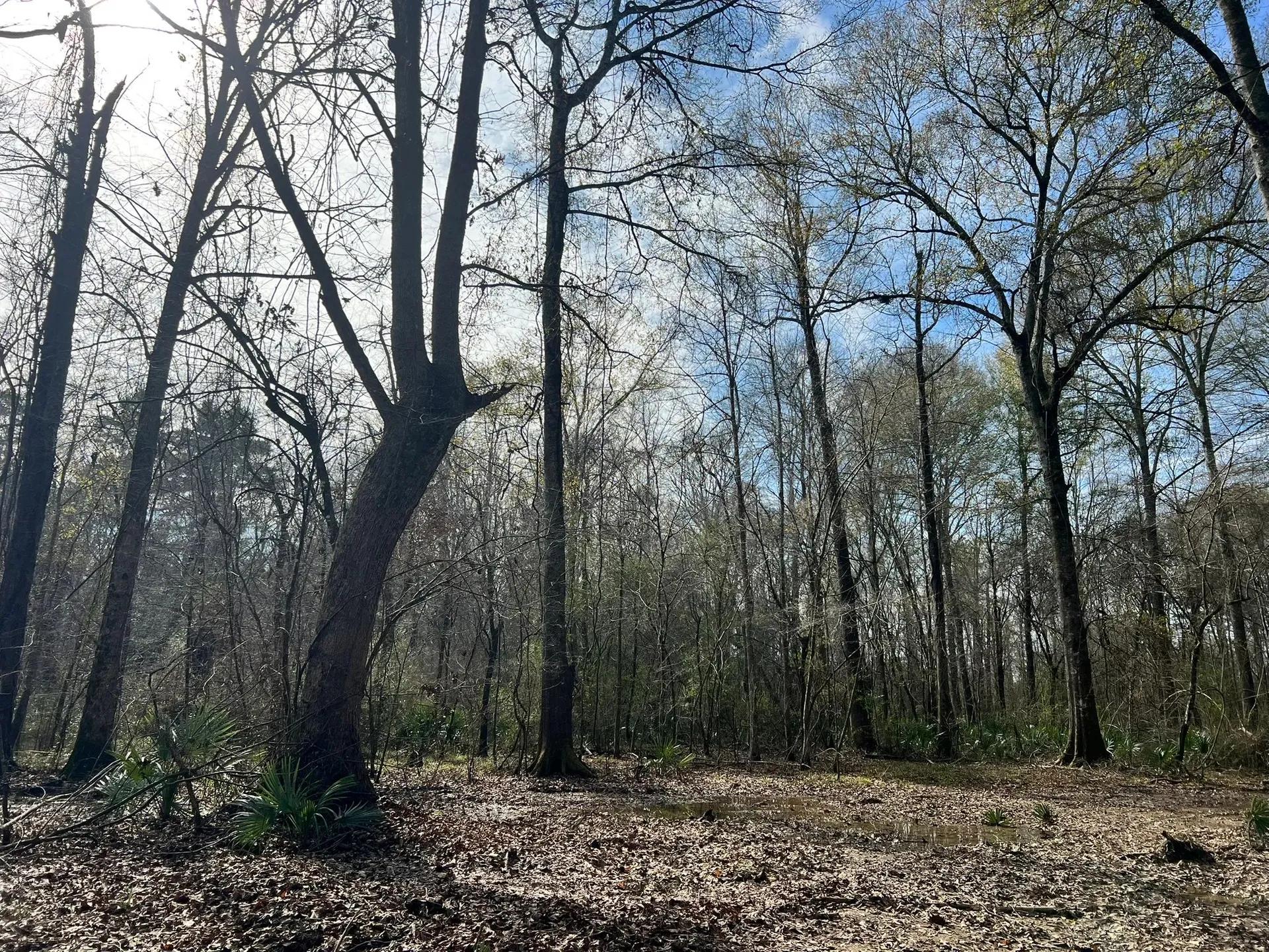 60752827-5