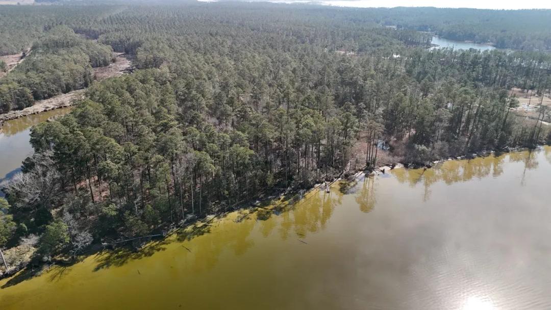 Waterfront Property for Sale, Hyde County NC