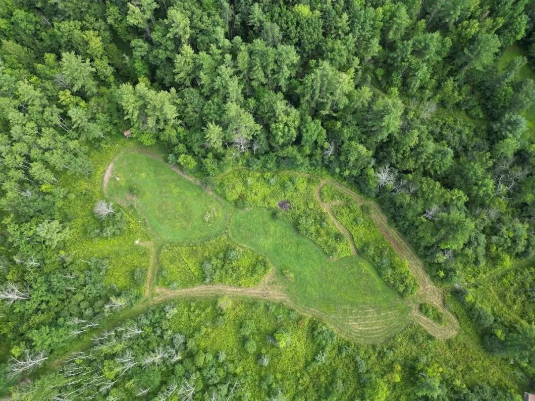 62 acres Prime Hunting Land with Woodlands and Pastureland in Carlisle NY 418 Saddlemire Hill Rd