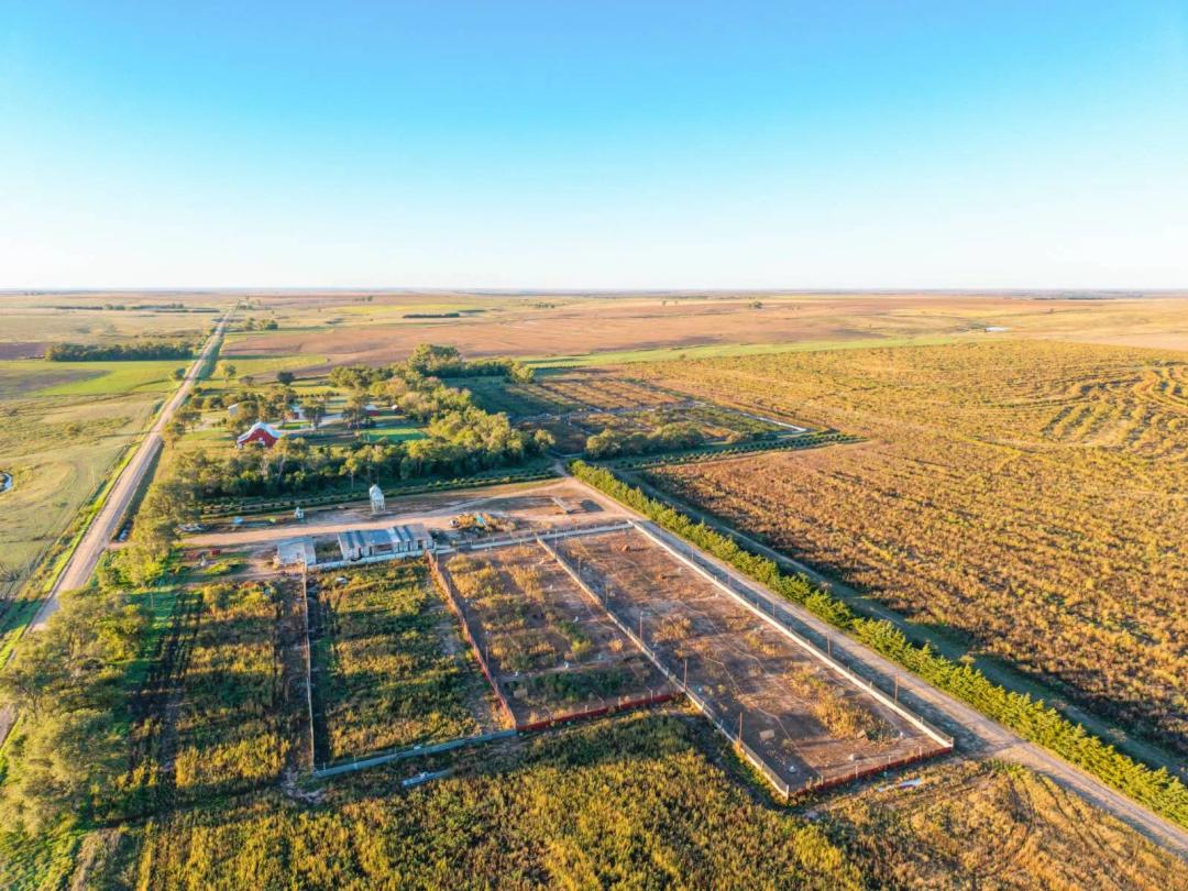 Fully Operational Pheasant Farm