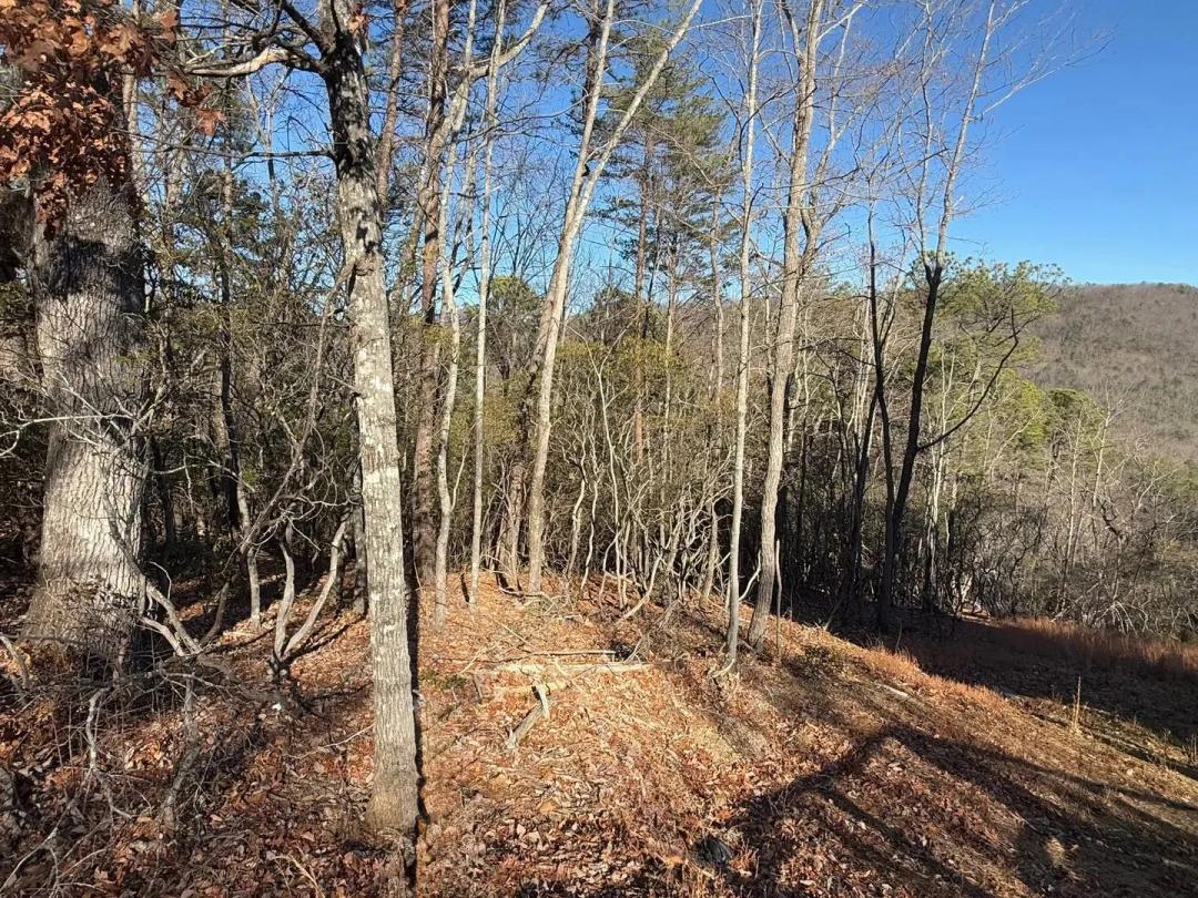 0 Confederate Dr. LOT 574, Clayton, GA 30525