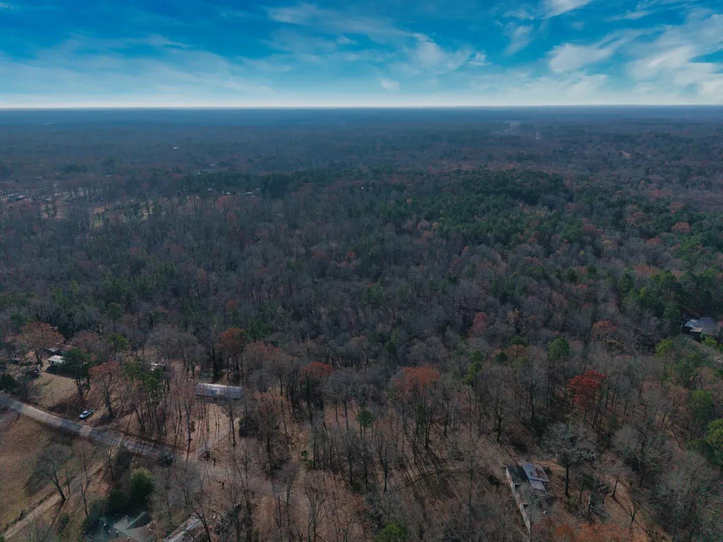 DJI_20241219100836_0032_D