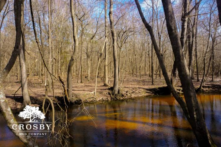 Black River Preserve 3
