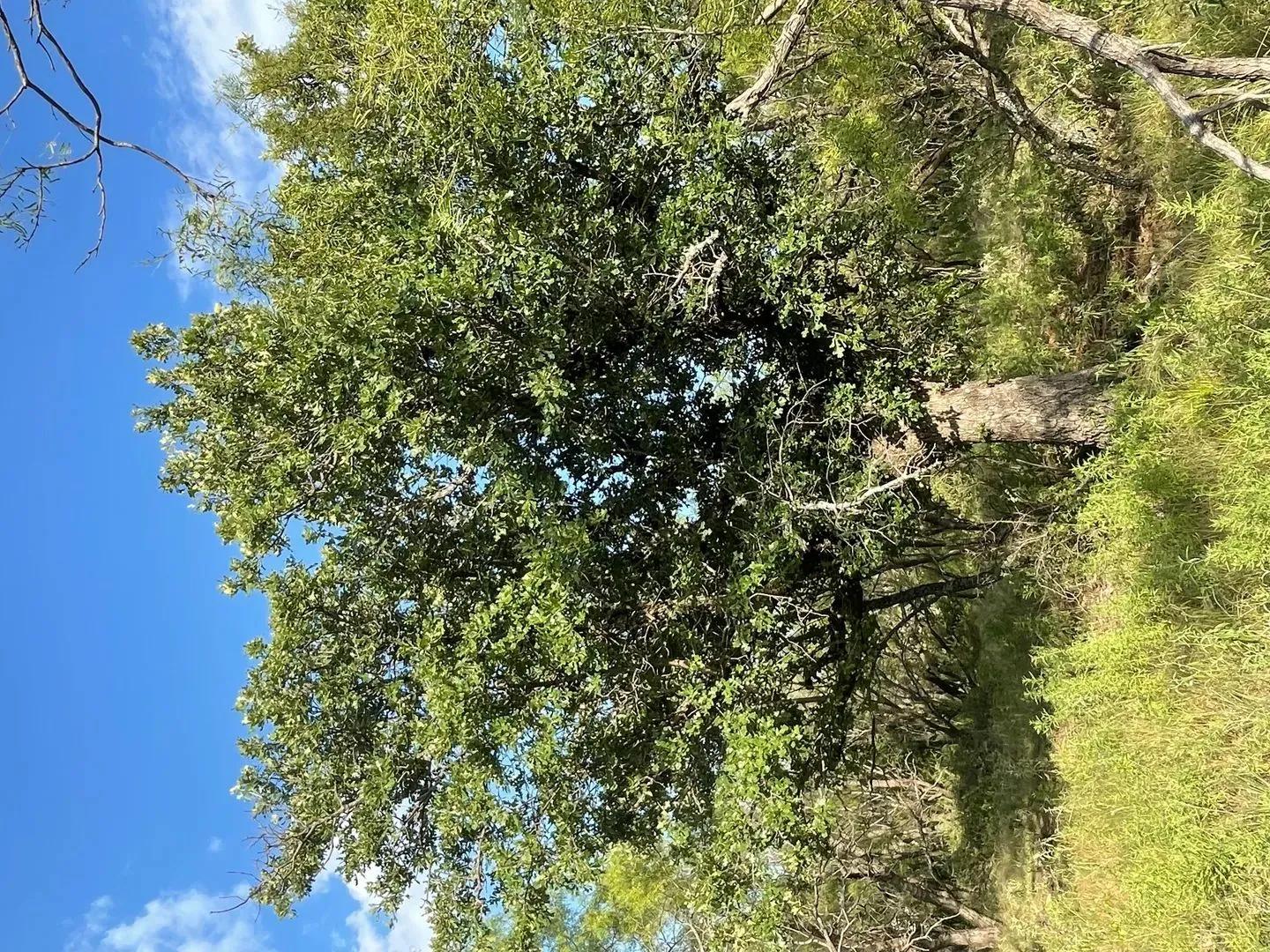 60865426-9