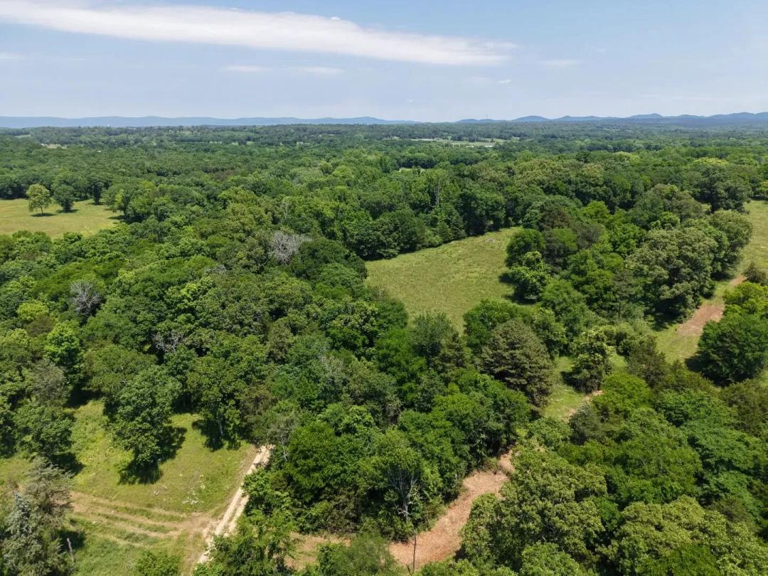 10 Acres in Polk County, AR 