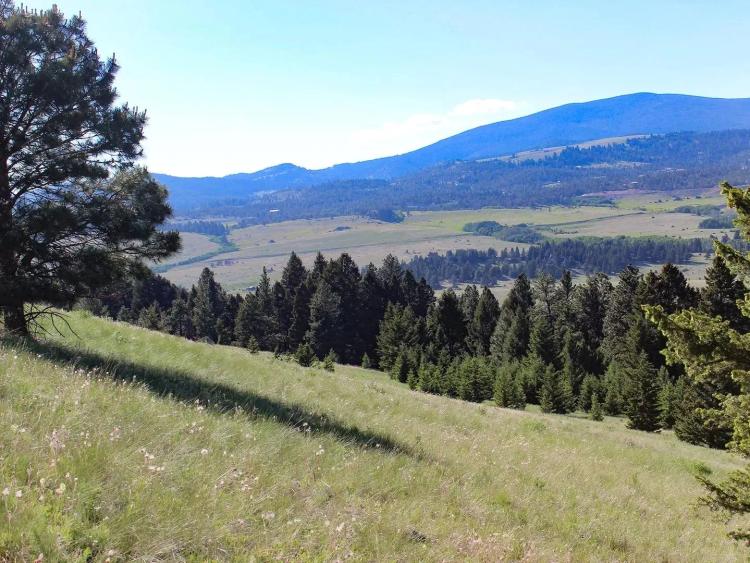 Austin Meadows Mountain Ranch