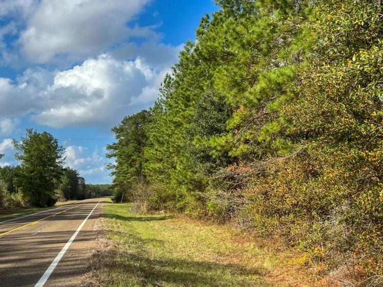 23 Acres | FM 2460