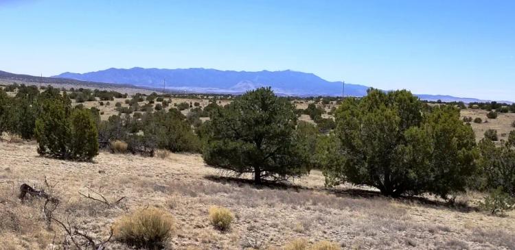 Pinon Springs Ranch * Rolling Hills * Trees * views * power