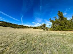 Robinson Canyon Road-09