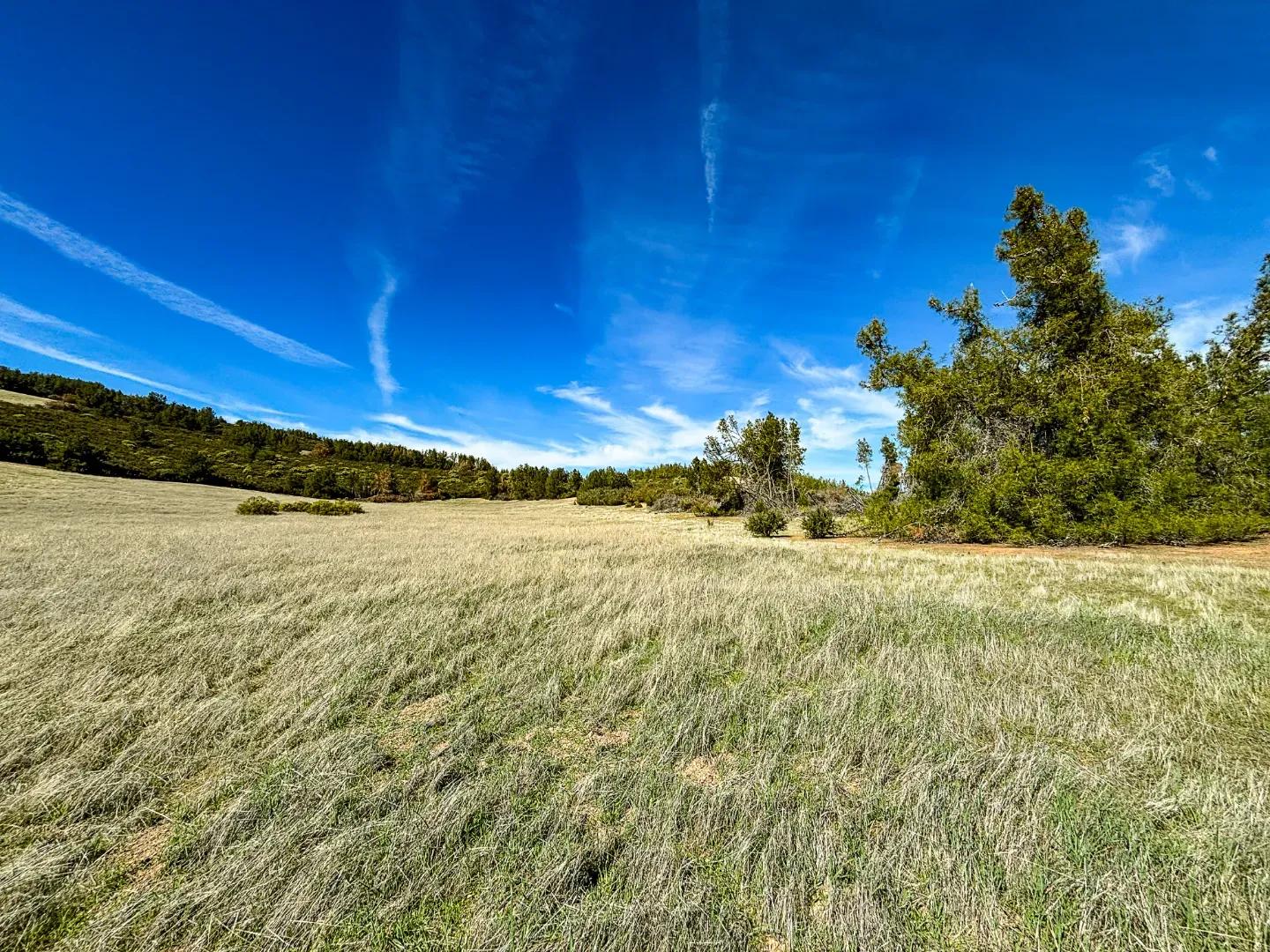 Robinson Canyon Road-09