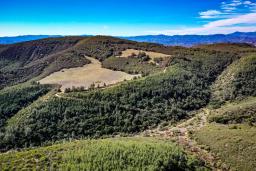 Robinson Canyon Road-11