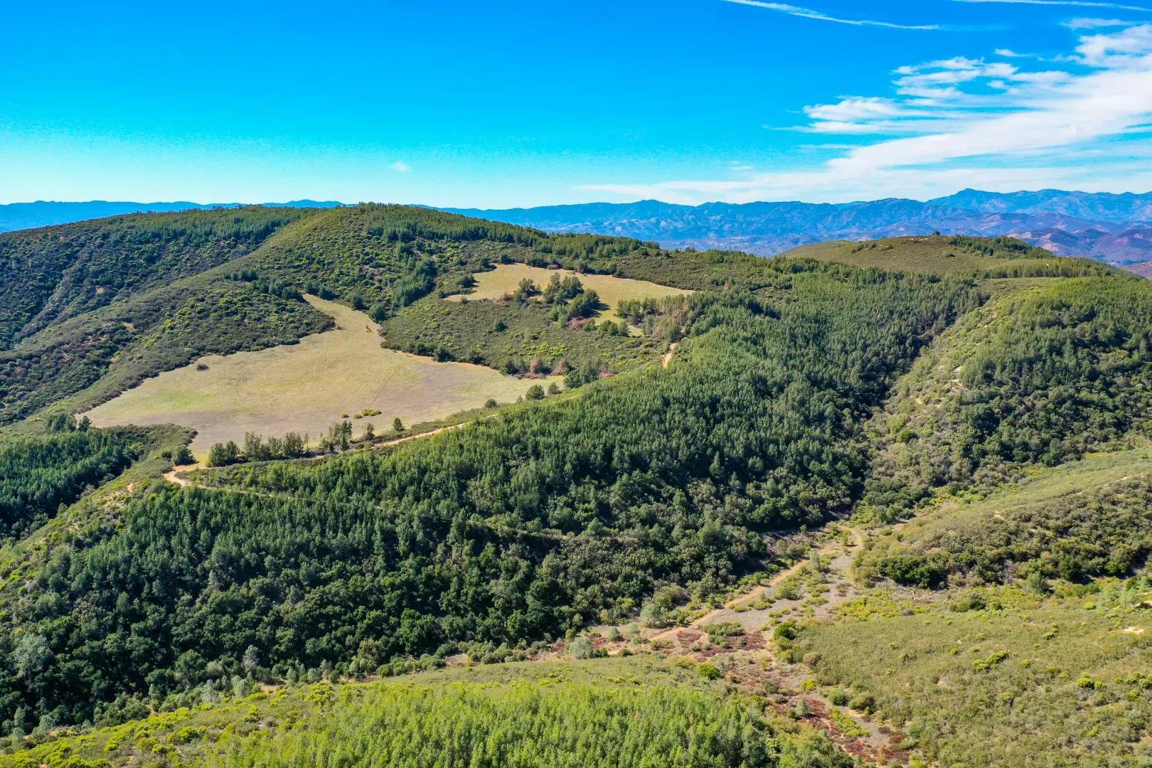 Robinson Canyon Road-12
